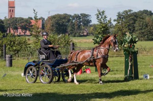 dressuur en vaardigheid  nienoord 10-8-2015  joshua keller-0637         